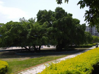 贛南師范學(xué)院科技學(xué)院2023年學(xué)費(fèi)、收費(fèi)多少