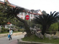 四川大學(xué)師范學(xué)院望江校區(qū)2023年學(xué)費(fèi)、收費(fèi)多少