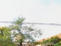 西安職業(yè)中等幼師專業(yè)學(xué)校2023年報(bào)名條件、招生要求、招生對(duì)象