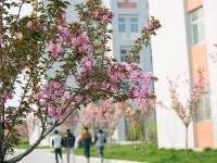 渭南職業(yè)技術(shù)師范學(xué)院朝陽校區(qū)2023年學(xué)費(fèi)、收費(fèi)多少