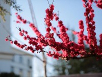 山東威海藝術(shù)幼兒師范學(xué)校2023年學(xué)費(fèi)、收費(fèi)多少