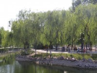 新鄉(xiāng)工程師范學(xué)院2023年學(xué)費(fèi)、收費(fèi)多少