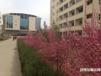 延安職業(yè)技術(shù)師范學院2023年招生辦聯(lián)系電話