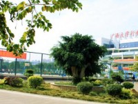 廣西大學(xué)行健文理師范學(xué)院2023年學(xué)費(fèi)、收費(fèi)多少