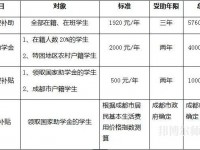 四川文軒職業(yè)幼兒師范學(xué)校2023年學(xué)費(fèi)、收費(fèi)多少