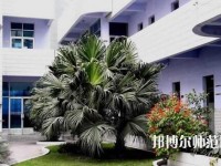 四川信息工程幼兒師范學(xué)校2023年報(bào)名條件、招生要求、招生對象