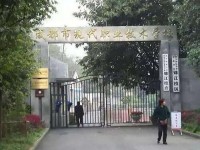 成都現(xiàn)代幼師職業(yè)技術學校2023年招生錄取分數線