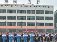 德昌幼師職業(yè)高級中學2023年招生錄取分數線