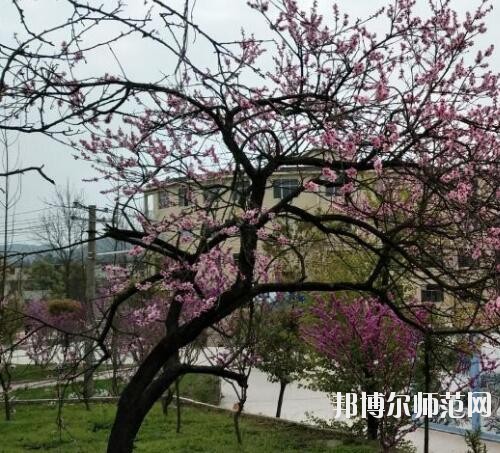 貴陽中華幼師職業(yè)學(xué)校2023年怎么樣、好不好