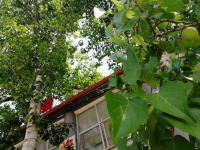 河北航空管理幼兒師范中等專業(yè)學(xué)校2023年怎么樣，好不好