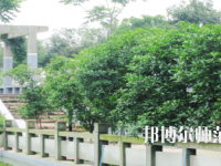 德陽(yáng)通用電子科技幼兒師范學(xué)校2021年報(bào)名條件、招生要求、招生對(duì)象