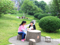 湖南中專幼師學(xué)?？梢钥即髮? /><b>湖南中專幼師學(xué)校可以考大專嗎</b><span>2019-09-09 10:58</span><p>如今，許多中專幼師學(xué)校都可以報(bào)讀大專的，但學(xué)生們也需要選擇一所可靠的學(xué)校。而學(xué)校的報(bào)讀學(xué)生多不多，可以看出學(xué)校的受歡迎程</p></a></li>
            <li><a href=
