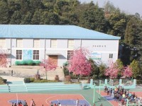 云南林業(yè)幼兒師范高級技工學(xué)校2023年學(xué)費(fèi)、收費(fèi)多少