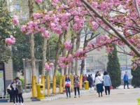 石家莊法商幼兒師范中等專業(yè)學(xué)校2023年學(xué)費(fèi)、收費(fèi)多少
