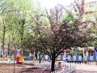 石家莊法商幼兒師范中等專業(yè)學(xué)校2023年報(bào)名條件、招生要求、招生對(duì)象