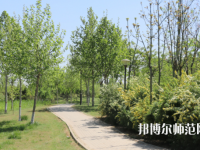 石家莊中英航空幼兒師范中等專業(yè)學(xué)校2023年怎么樣、好不好