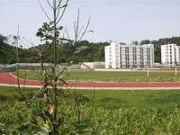 四川幼兒師范高等?？茖W校2023年招生簡章