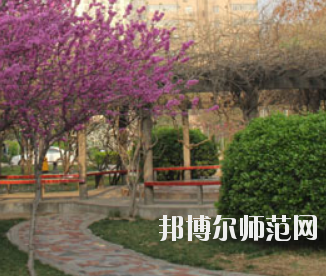鄭州2020年幼師學(xué)?？梢詫W(xué)什么