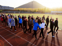 石家莊幼兒師范高等?？茖W(xué)校歷年招生錄取分?jǐn)?shù)線