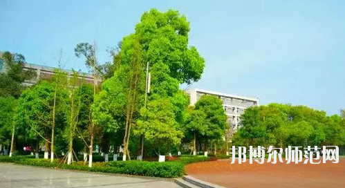 重慶市九龍坡幼師職業(yè)教育中心怎么樣、好不好。