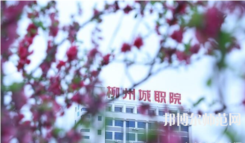 柳州城市職業(yè)師范學(xué)院怎么樣、好不好