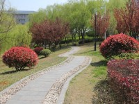 應(yīng)天職業(yè)技術(shù)師范學(xué)院是2023年幾專(zhuān)