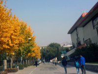 西北師范大學(xué)2023年學(xué)費(fèi)、收費(fèi)多少