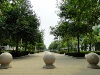 廣西現(xiàn)代職業(yè)技術(shù)師范學(xué)院2023年報(bào)名條件、招生要求、招生對(duì)象