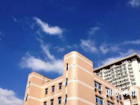 東華大學(xué)師范學(xué)院延安路校區(qū)2023年報名條件、招生要求、招生對象