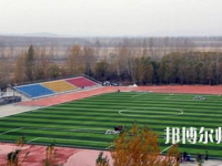 鶴崗師范高等?？茖W校2023年報名條件、招生要求、招生對象