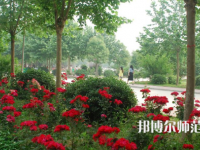 河南科技職業(yè)師范大學(xué)2023年報(bào)名條件、招生要求、招生對(duì)象