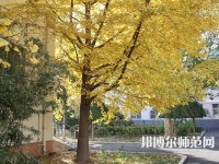 北京京北職業(yè)師范技術(shù)學院2023年報名條件、招生要求、招生對象