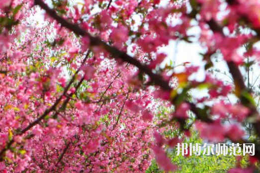 鄭州大學(xué)師范學(xué)院主校區(qū)2023年報名條件、招生要求、招生對象