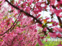 鄭州大學(xué)師范學(xué)院主校區(qū)2023年報名條件、招生要求、招生對象