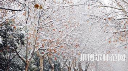 鄭州航空工業(yè)管理師范學(xué)院2023年報(bào)名條件、招生要求、招生對(duì)象
