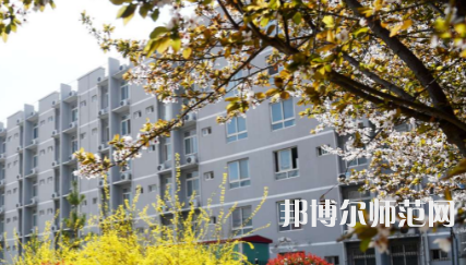 周口職業(yè)技術(shù)師范學(xué)院文昌校區(qū)2023年怎么樣、好不好