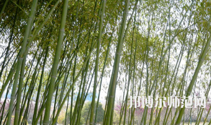 周口職業(yè)技術(shù)師范學院開元校區(qū)2023年報名條件、招生要求、招生對象