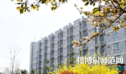 周口職業(yè)技術(shù)師范學(xué)院開元校區(qū)2023年怎么樣、好不好
