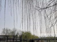 鶴壁職業(yè)技術(shù)師范學(xué)院2023年怎么樣、好不好