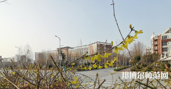 鶴壁職業(yè)技術(shù)師范學(xué)院2023年報名條件、招生要求、招生對象
