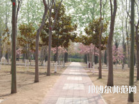 濮陽職業(yè)技術(shù)師范學(xué)院2023年報名條件、招生要求、招生對象