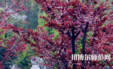 駐馬店師范職業(yè)技術(shù)學院2023年招生計劃