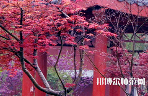 駐馬店師范職業(yè)技術(shù)學(xué)院2023年怎么樣、好不好