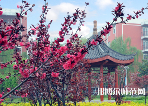 駐馬店師范職業(yè)技術(shù)學(xué)院2023年報(bào)名條件、招生要求、招生對象