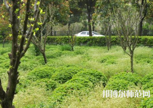駐馬店師范職業(yè)技術(shù)學(xué)院2023年報(bào)名條件、招生要求、招生對象