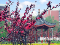 駐馬店師范職業(yè)技術(shù)學(xué)院2023年報名條件、招生要求、招生對象