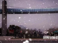 溫州師范大學(xué)茶山校區(qū)2023年學(xué)費(fèi)、收費(fèi)多少
