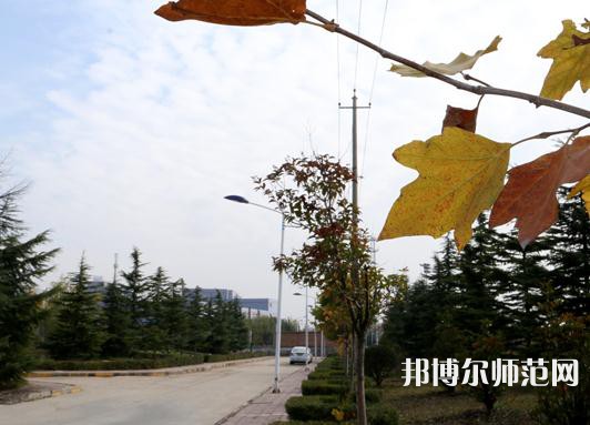 陜西職業(yè)技術(shù)師范學(xué)院2023年報(bào)名條件、招生要求、招生對(duì)象 