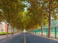 聊城師范大學(xué)東昌學(xué)院2023年報(bào)名條件、招生要求、招生對(duì)象
