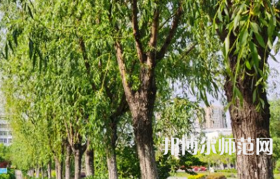 南陽(yáng)理工師范學(xué)院2023年報(bào)名條件、招生要求、招生對(duì)象